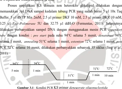 Gambar 3.1  : Kondisi PCR KS primer denegerate oligonucleotida 