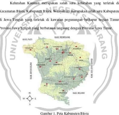 Gambar 1. Peta Kabupaten Blora 