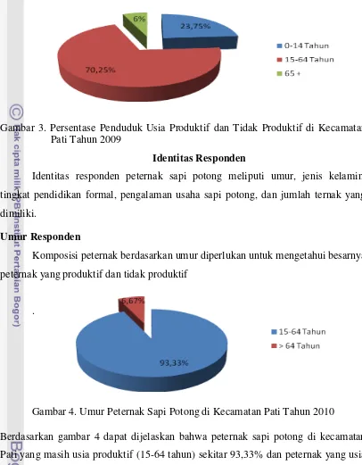 Gambar 4. Umur Peternak Sapi Potong di Kecamatan Pati Tahun 2010 