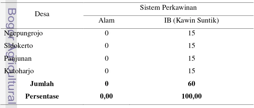Tabel 16.  Sistem Perkawinan Ternak Sapi Potong di Kecamatan Pati Tahun 2010 