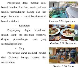 Gambar 2.28. Spot view 