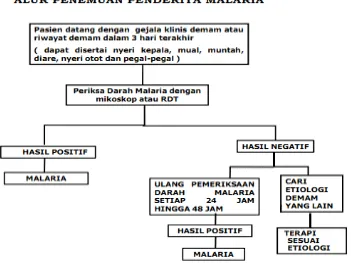 Gambar 2.1 Proses Penularan Malaria 