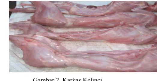 Gambar 2. Karkas Kelinci 