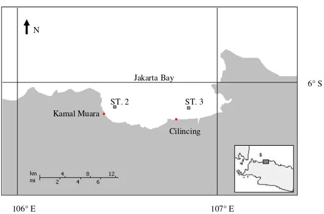 Figure 1.  Sampling station (ST) in Pangkajene Kepulauan (Pangkep).  