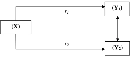 Gambar 3. Paradigma hubungan antar variabel. (sumber: Sugiyono, 2011:70) 