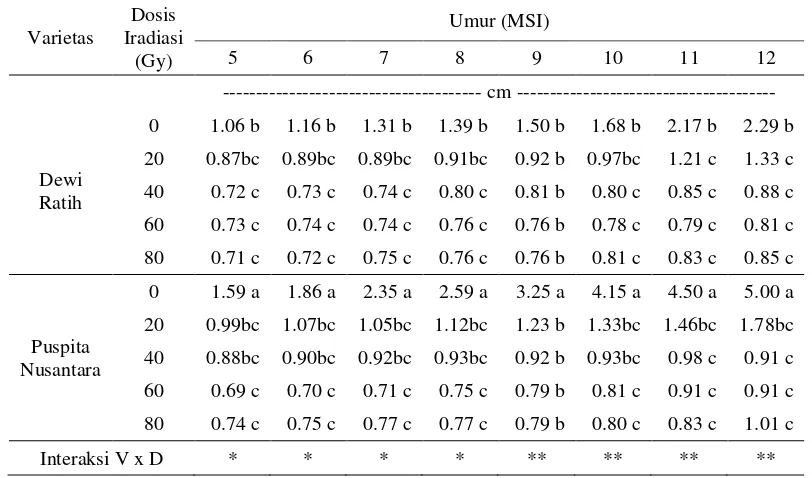 Tabel 3. Interaksi antara Varietas dengan Dosis Iradiasi terhadap Tinggi Tunas Krisan In Vitro pada 5, 6, 7, 8, 9, 10, 11 dan 12 MSI 
