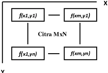 Gambar 1  Representasi citra MxN. 