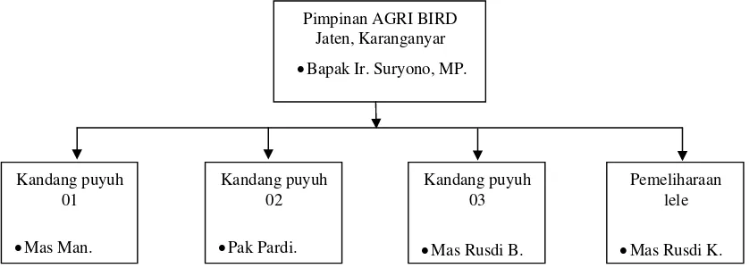 Gambar 1. Struktur organisasi peternakan burung puyuh AGRI BIRD commit to user 