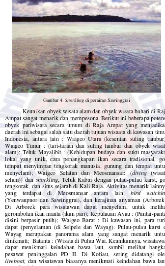 Gambar 4. Snorkling di perairan Sawinggrai 