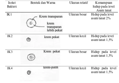 Tabel 5. Karakteristik visual isolat bakteri rumen kambing PEK 