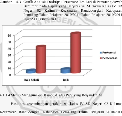 Gambar 4.3 Grafik Analisis Deskripsi Persentase Tes Lari di Pematang Sawah 