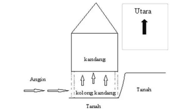 Gambar 4. Kondisi Kolong Kandang Panggung Ayam Broiler Milik Bagus Farm di Desa Semplak Barat, Kecamatan Kemang, Kabupaten Bogor