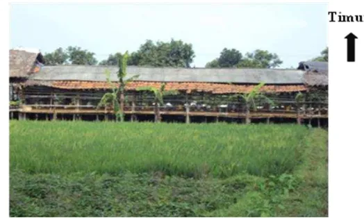 Gambar 5. Kondisi Atap Kandang Ayam Broiler Milik Bagus Farm di Desa Semplak Barat, Kecamatan Kemang, Kabupaten Bogor
