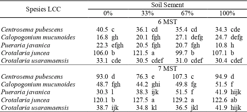 Tabel 2. Rata–rata Tinggi Lima Spesies LCC dan Empat Taraf Konsentrasi Soil-Sement (cm) 