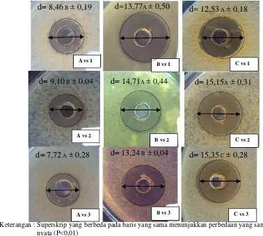 Gambar 1. Total Zona Hambat (A) BAL Kefir, (B) B. longum Y-01 dan (C) L. 
