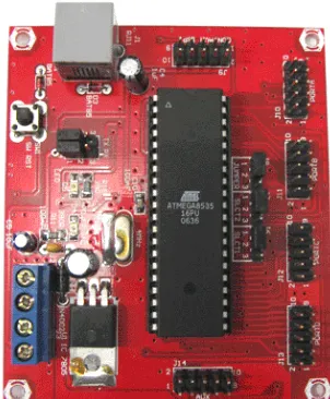 Gambar 13.  Modul mikrokontroler DT-AVR  (Sumber : Innovative Electronic, 2010) Low Cost Micro System