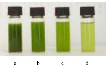 Gambar  16. Penentuan intensitas warna pada pengujian grup senyawa sterol  (a = ++++, b = +++, c = ++ dan d = +) 