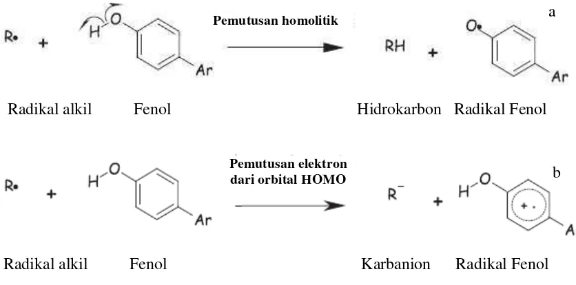 Gambar 24. Mekanisme senyawa antioksidan dalam menangkap radikal bebas                     (a = donor atom hidrogen, b = donor elektron) (Leopoldini et al