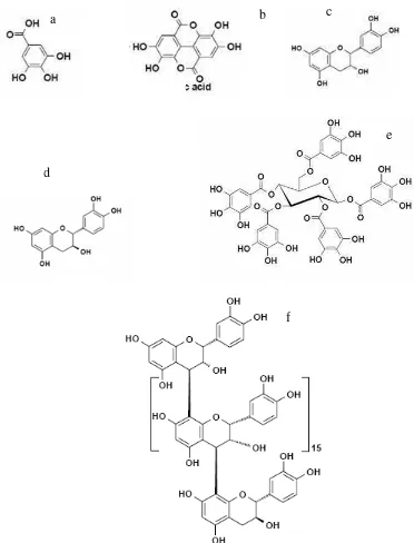 Gambar 25. Struktur molekul tanin terhidrolisis (a, b, e) dan tanin terkondensasi (c, d, f),         a = asam gallat, b = asam ellagat, c = epikatekin, d = katekin, e = -1,2,3,4,6-pentagaloil-O-D-glikosa, f = epikatekin-[(4->8)-epikatekin]15-(4->8)-katekin