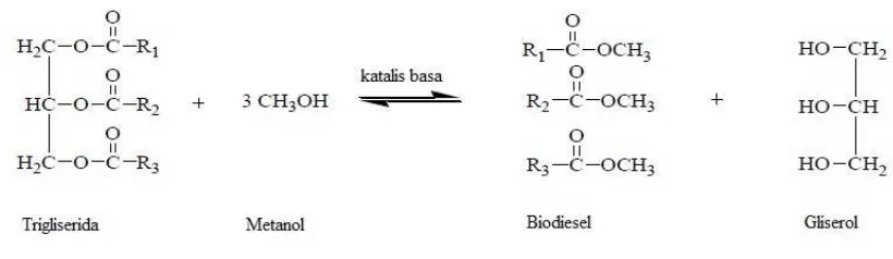 Gambar 1. Reaksi Transesterifikasi