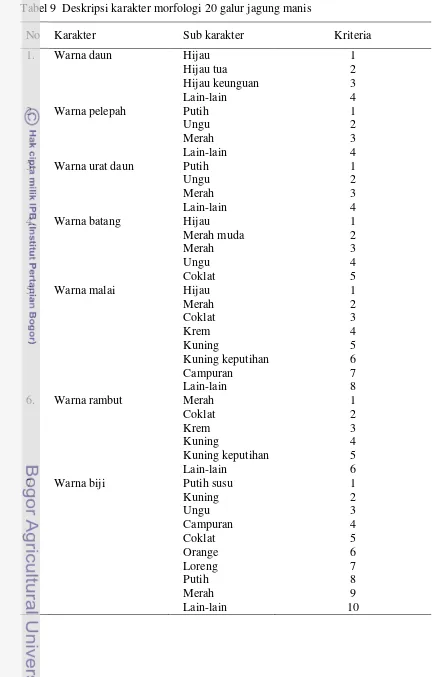Tabel 9  Deskripsi karakter morfologi 20 galur jagung manis 