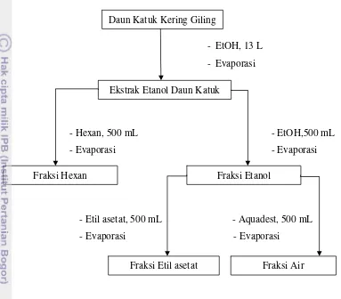 Gambar 4 Prosedur fraksinasi ekstrak daun katuk. 