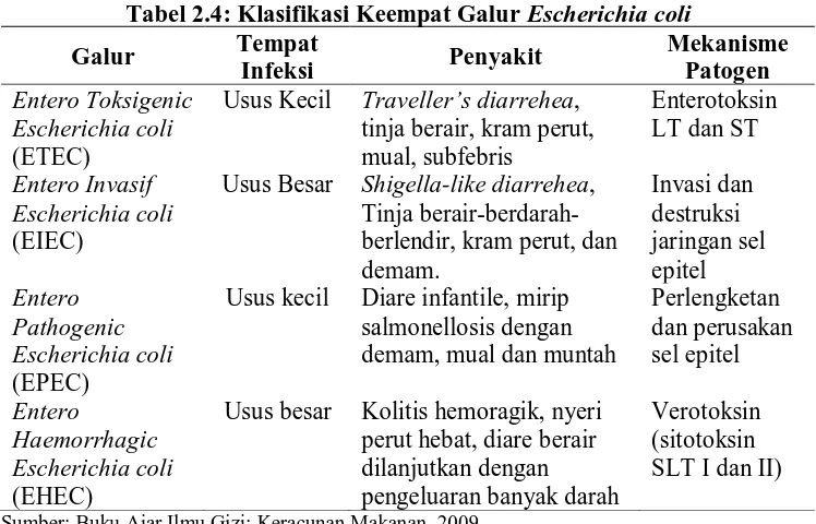 Tabel 2.4: Klasifikasi Keempat Galur Escherichia coli Tempat Mekanisme 