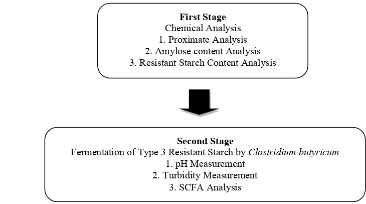 Figure 2. Two Stages of Research 