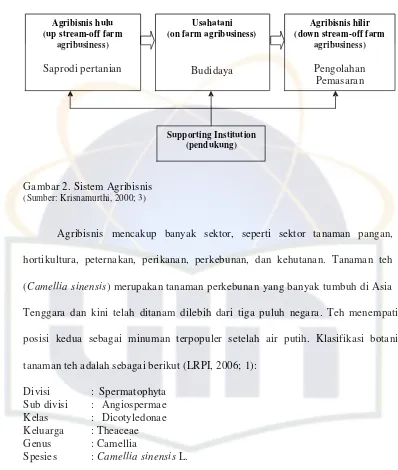 Gambar 2. Sistem Agribisnis 