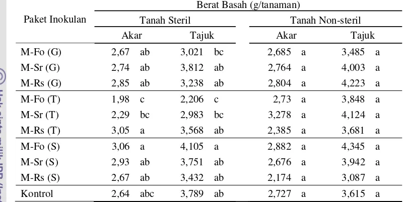 Tabel 4 Pengaruh bentuk paket inokulan terhadap tinggi, berat basah akar dan tajuk tanaman kedelai varietas Tanggamus umur 21 hari pada tanah steril dan non-steril 