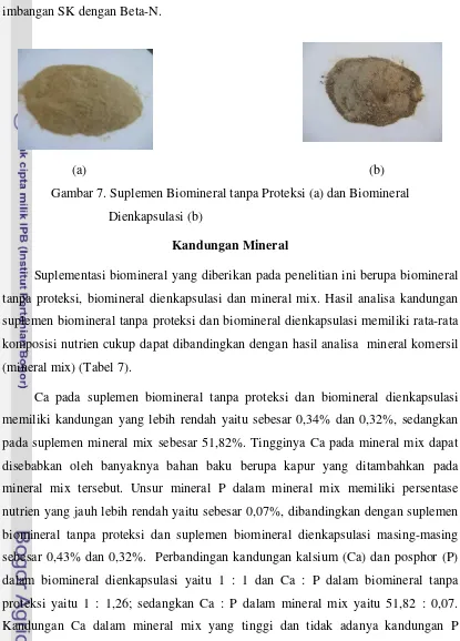 Gambar 7. Suplemen Biomineral tanpa Proteksi (a) dan Biomineral 