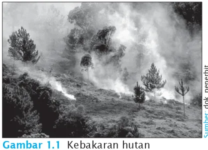 Gambar 1.1  Kebakaran hutan