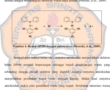 Gambar 4. Reaksi DPPH dengan antioksidan (Pisoschi, et al., 2009). 