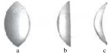 Gambar 2.16 Lensa cembung: a. bikonveks, b. plan konveks,  