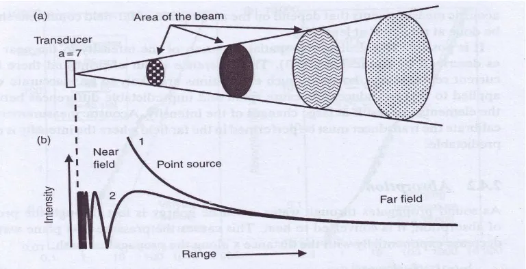 Gambar 3. Daerah zona Fresnel (Near Field) dan zona Fraunhofer (Far Field) Sumber : (MacLennan and Simmonds, 2005) 