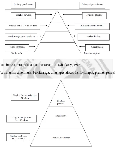 Gambar 2.1 Piramida latihan berdasar usia (Sharkeey, 1986)  