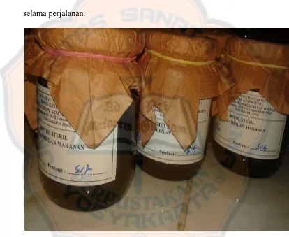 Gambar 1. Sampel jamu pahitan brotowali dalam wadah botol steril 