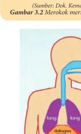Gambar 3.3 Organ Suara 