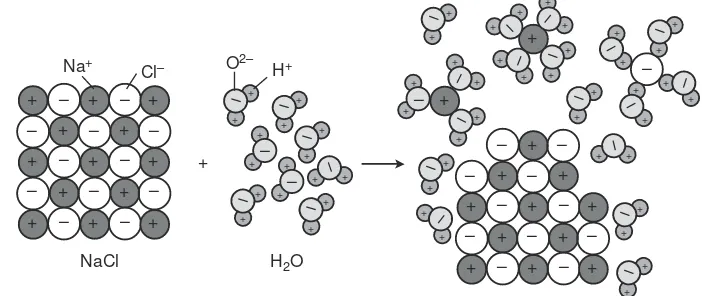 Gambar 6.4 Proses hidrasi senyawa ion