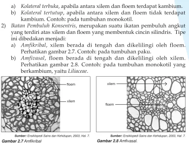 Gambar 2.7 Am� kribal