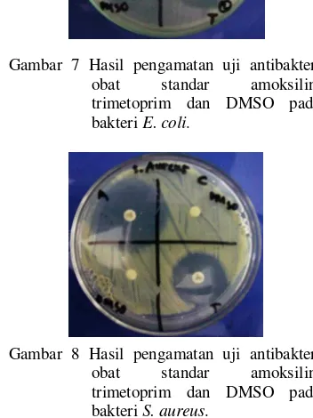 Gambar 8 Hasil pengamatan uji antibakteriobat standar amoksilin,trimetoprim dan DMSO padabakteri S