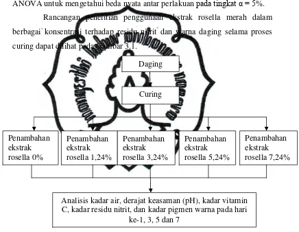 Gambar 3.2. Diagram Rancangan Penelitian 