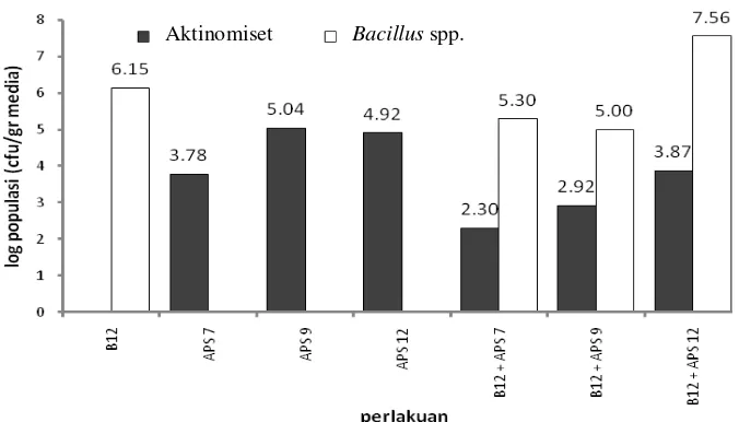 Gambar 3 Pengaruh uji kompatibilitas bakteri terhadap populasi Bacillus spp. dan aktinomiset pada media tanah dan pupuk kandang steril 