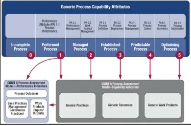 Gambar 3. Model kapabilitas COBIT 5 [6] 