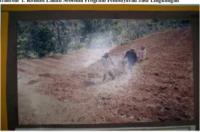 Gambar 2. Kondisi Lahan Setelah Program Pemabayaran Jasa Lingkungan 