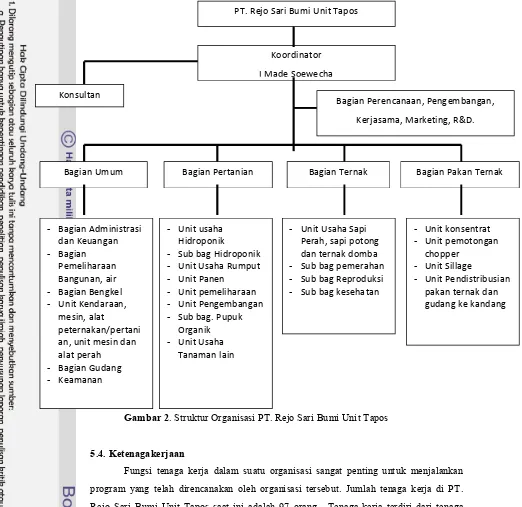 Gambar 2. Struktur Organisasi PT. Rejo Sari Bumi Unit Tapos  