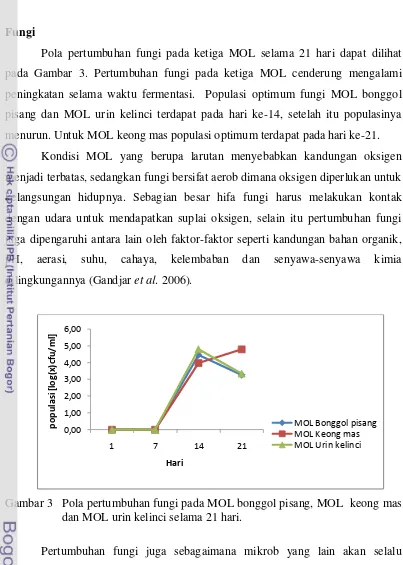 Gambar 3   Pola pertumbuhan fungi pada MOL bonggol pisang, MOL  keong mas 