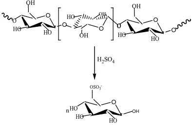 Gambar 4.7  Reaksi Hidrolisis α-selulosa dengan H2SO4 (Benavides, 2011) 