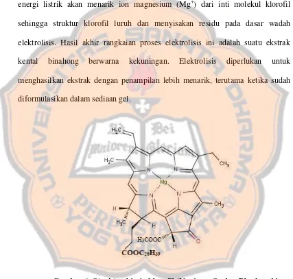 Gambar 6. Struktur kimia klorofil (Yaqiong, Scales, Blankenship, Willows, Chen, 2012)