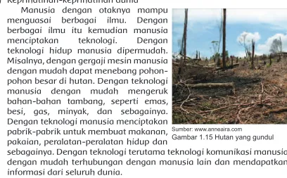 Gambar 1.15 Hutan yang gundul